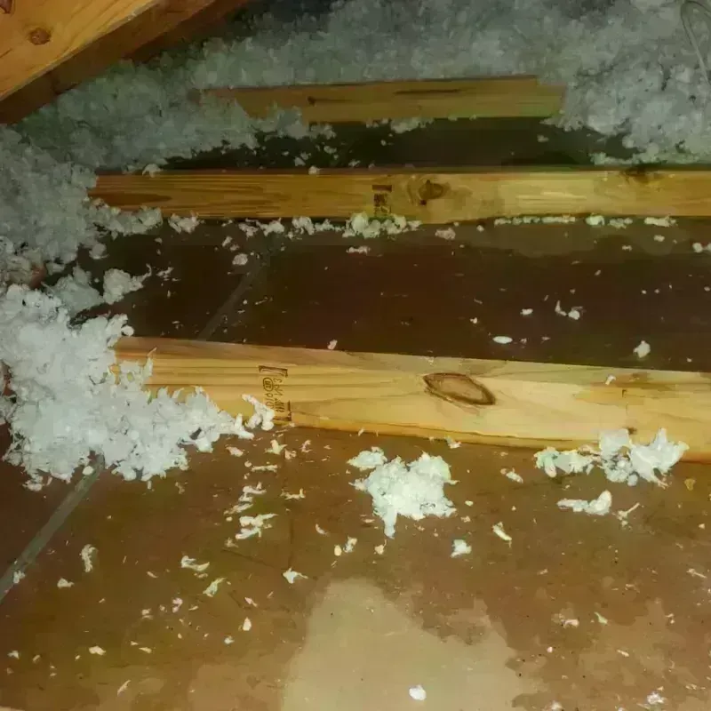 Attic Water Damage in Blountville, TN